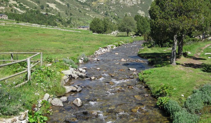 Bachlauf durch ein Thal  © SERVICEREISEN