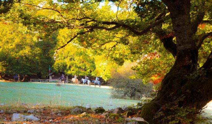 Parco NAzionale d'Abruzzo © GUTREISTMANN